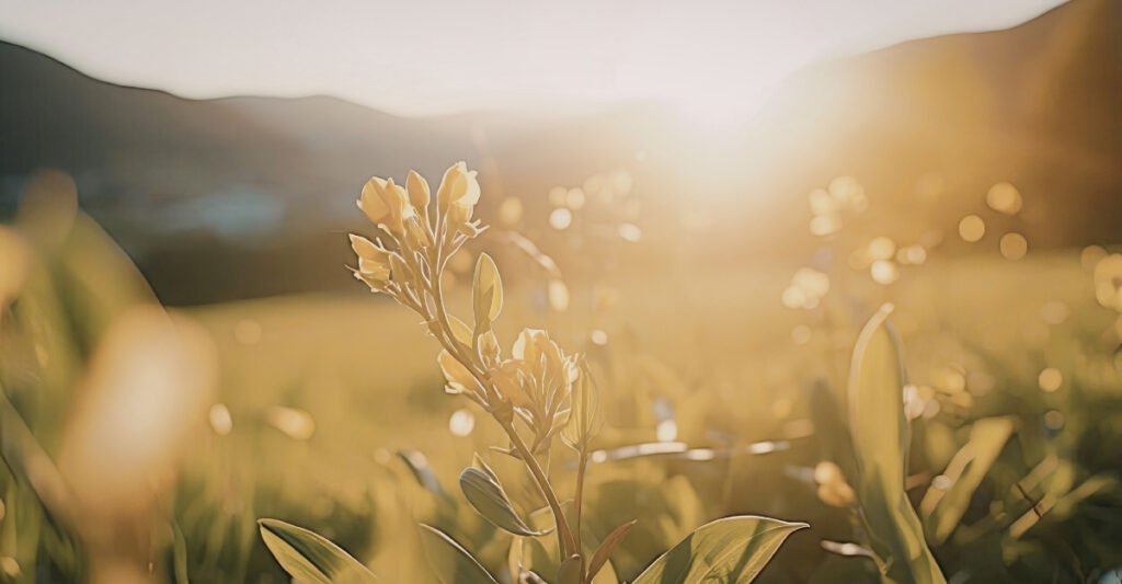 What Aging Gracefully Really Means (And How to Prepare Your Home)