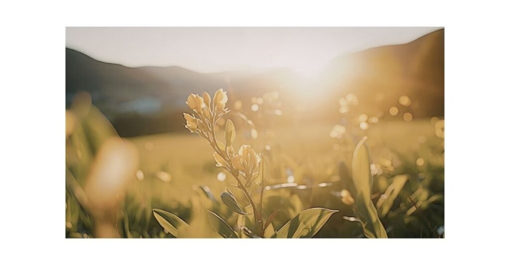 What Aging Gracefully Really Means (And How to Prepare Your Home)