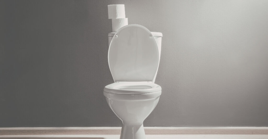 photo of a toilet only
