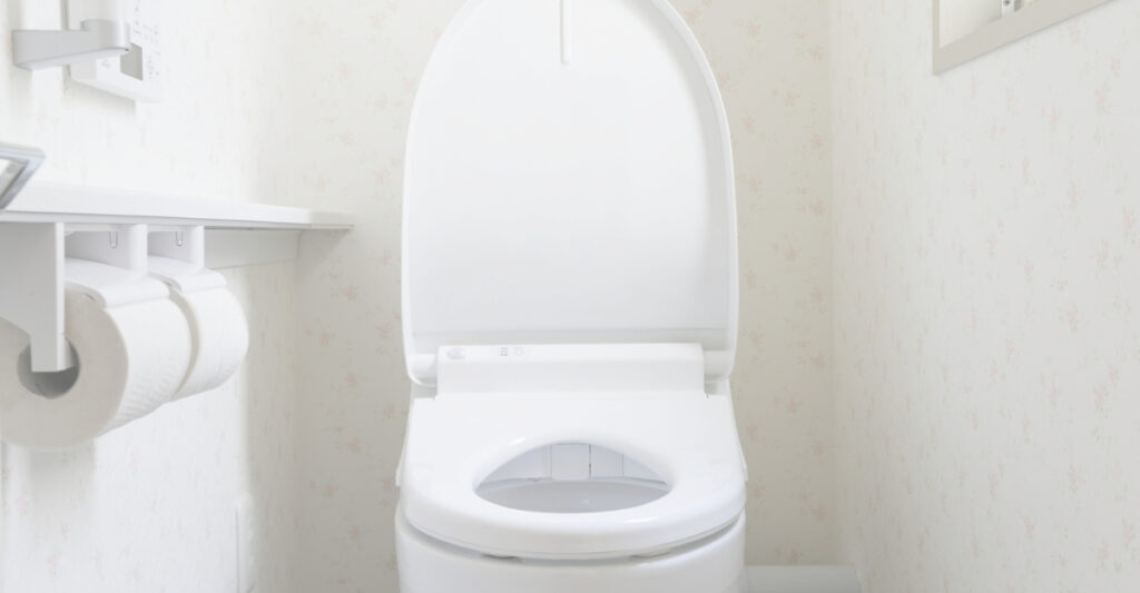 toilet in a bathroom